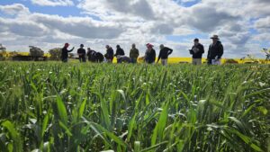 Australia: aprendizajes en la tierra del raigrás y los desafíos que vienen para la agricultura argentina